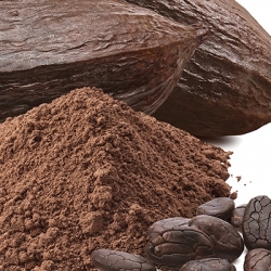 Cacao crudo